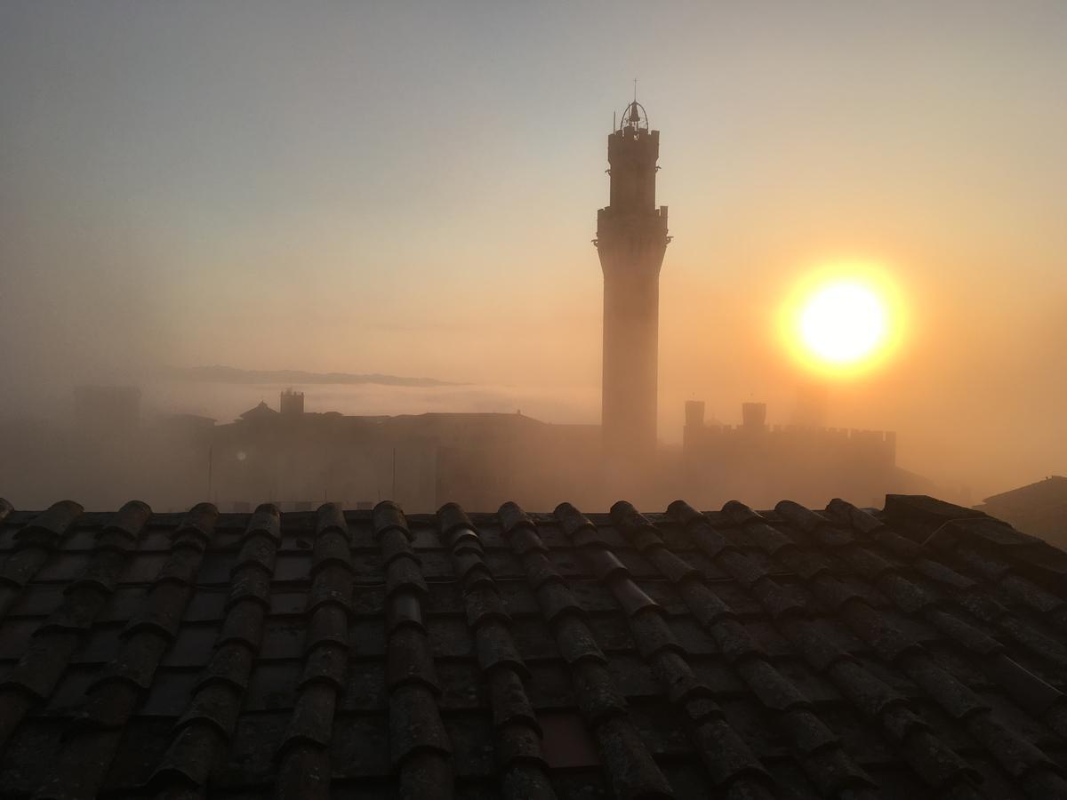Apartament Il Nido Siena Zewnętrze zdjęcie